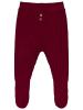 Picture of Baby Track Pants 0-24 Months Burgundy - Package