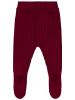 Picture of Baby Track Pants 0-24 Months Burgundy - Package