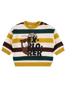 Picture of Baby Sweatshirt 0-24 Months Mustard - Package