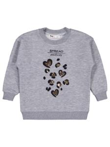 Picture of Girls Sweatshirt 2-5 Years Gray Melange - Package