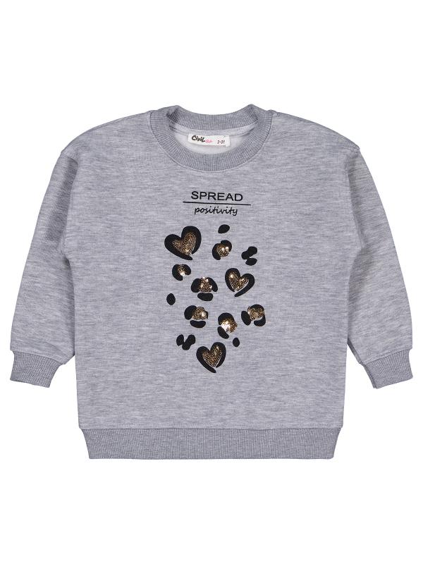 Picture of Girls Sweatshirt 2-5 Years Gray Melange - Package