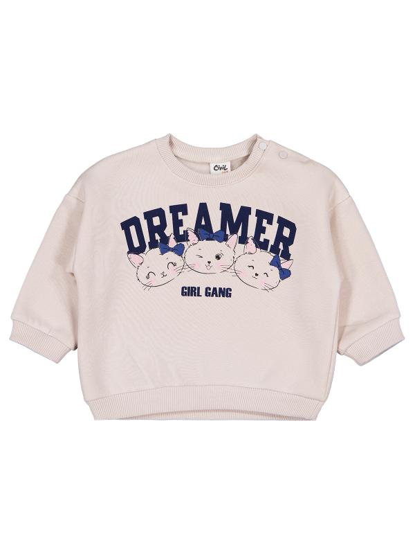 Picture of Baby Sweatshirt 0-24 Months Stone Color - Package