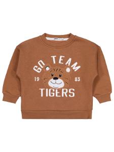 Picture of Boys Sweatshirt 2-5 Years Brown - Package