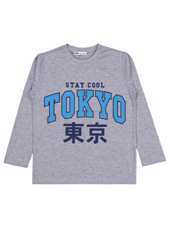 Picture of Boys Sweatshirt Km 6-9 Years Gray Melange - Package