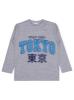 Picture of Boys Sweatshirt Km 6-9 Years Gray Melange - Package