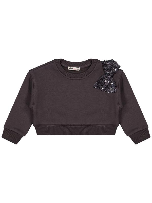 Picture of Girls Sweatshirt 2-5 Years Anthracite - Package