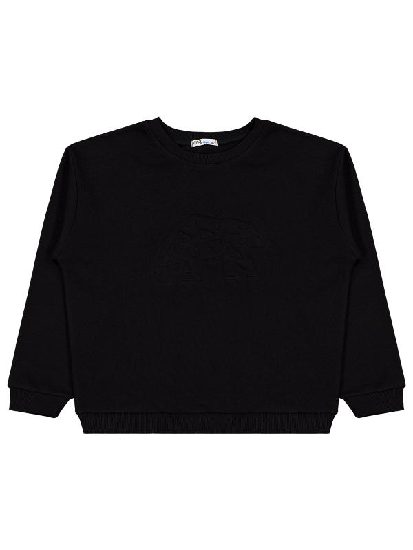 Picture of Boys Sweatshirt 10-13 Years Black - Package