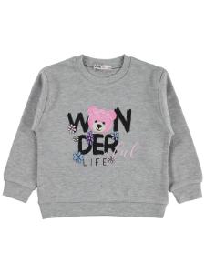 Picture of Girls Sweatshirt Km 2-5 Years Gray Melange - Package