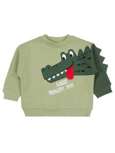 Picture of Boys Sweatshirt 2-5 Years Soft Khaki - Package