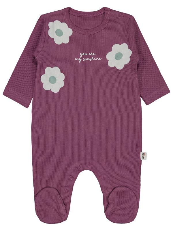 Picture of Baby Jumpsuit 0-24 Months Dusty Rose - Package