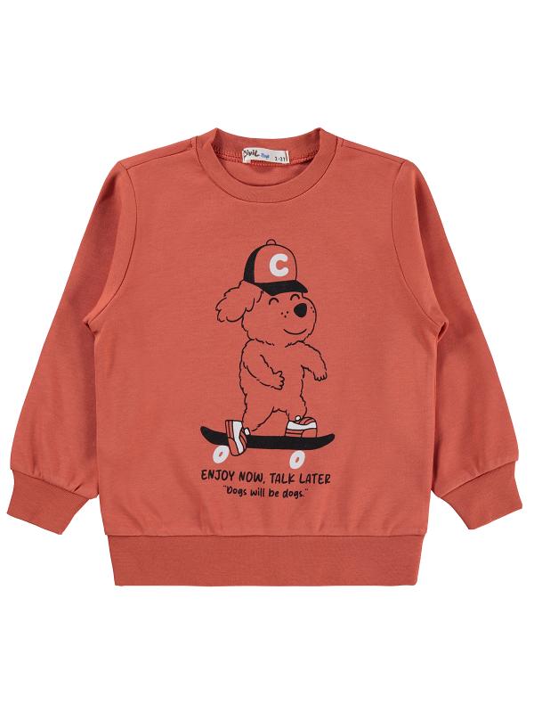 Picture of Boys Sweatshirt Km 2-5 Years Dark Orange - Package