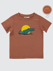 Picture of Boys T-Shirt 2-5 Years Terracotta - Package
