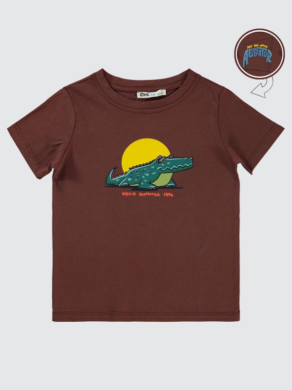 Picture of Boys T-Shirt 2-5 Years Brown - Package