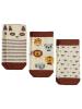 Picture of Baby Sock Sets 0-24 Months Standard - Package