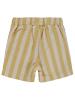 Picture of Baby Shorts 0-24 Months Mustard - Package
