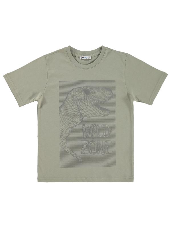 Picture of Boys T-Shirt 6-9 Years Soft Gray - Package