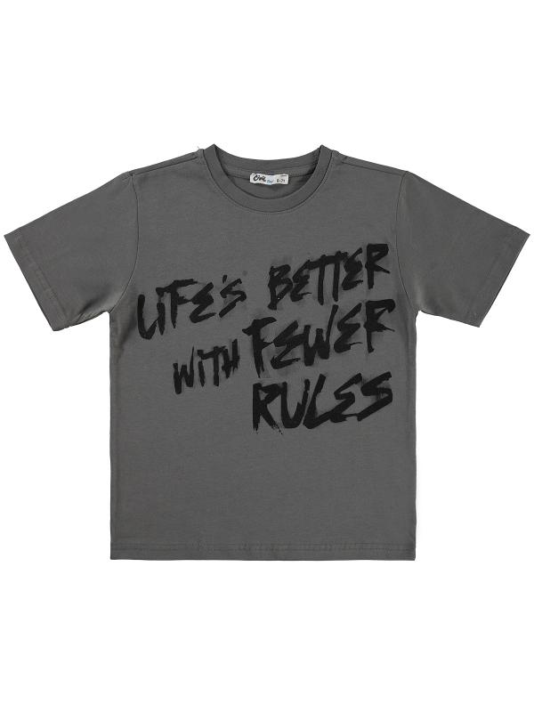Picture of Boys T-Shirt 6-9 Years Gray - Package