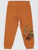 Picture of Boys Track Pants 2-5 Years Dark Orange - Package