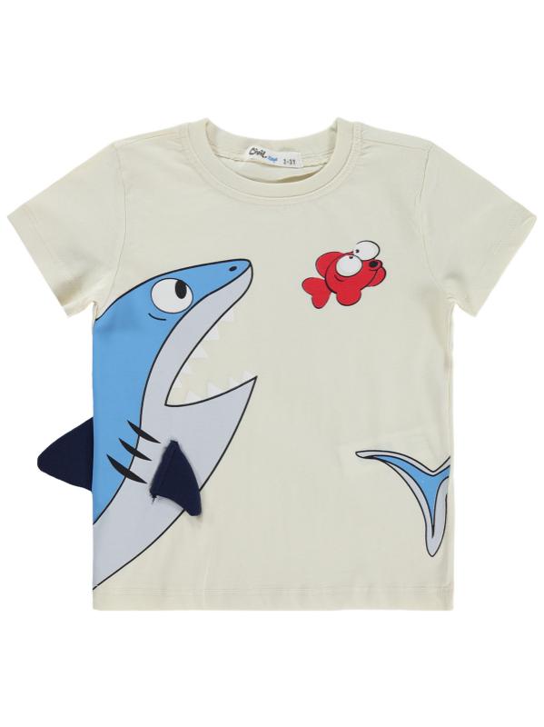 Picture of Boys T-Shirt 2-5 Years Ecru - Package