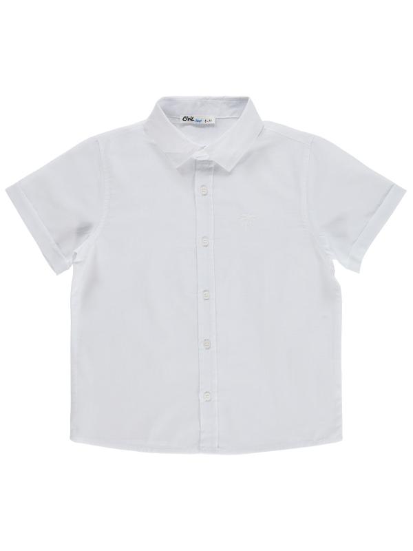 Picture of Boys Shirt 10-13 Years White - Package