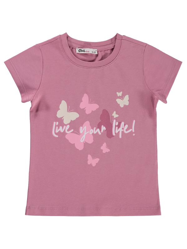 Picture of Girls T-Shirt 2-5 Years Dusty Rose - Package