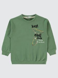 Picture of Boys Sweatshirt 2-5 Years Green - Package