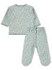 Picture of Baby Bodysuit Sets 0-24 Months Green Almond - Package
