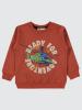 Picture of Boys Sweatshirt 2-5 Years Dark Copper - Package