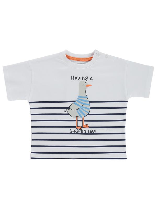 Picture of Baby T-Shirt 0-24 Months White - Package