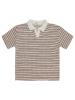 Picture of Boys T-Shirt 10-13 Years Brown - Package