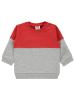 Picture of Baby Sweatshirt 0-24 Months Gray Melange - Package