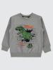 Picture of Boys Sweatshirt 2-5 Years Gray - Package