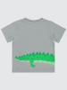 Picture of Boys T-Shirt 2-5 Years Painted Gray - Package