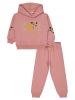Picture of Girls Tracksuit 2-5 Years Dusty Rose - Package