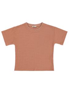 Picture of Boys T-Shirt 10-13 Years Dark Salmon - Package