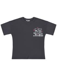 Picture of Girls T-Shirt 10-13 Years Anthracite - Package