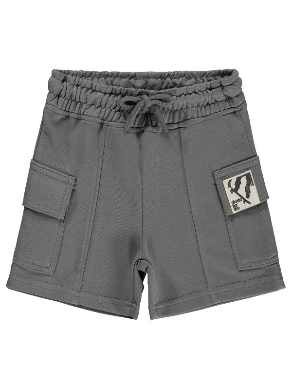 Picture of Boys Capri Pants 2-5 Years Gray - Package