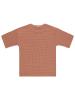 Picture of Boys T-Shirt 6-9 Years Dark Salmon - Package