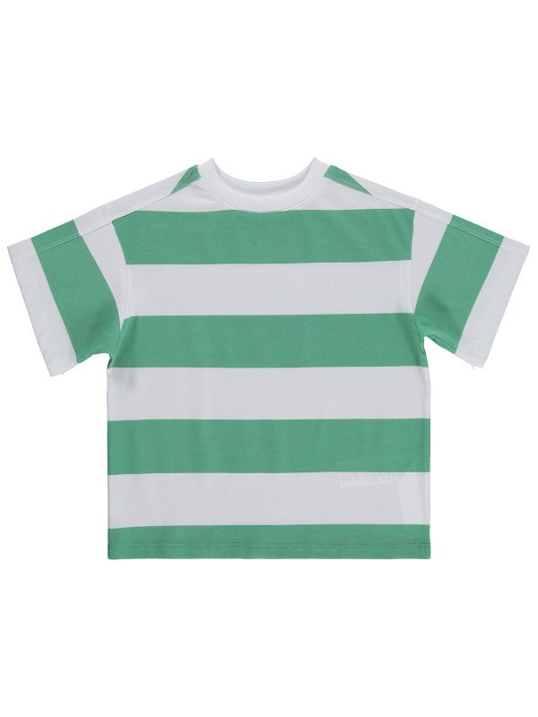 Picture of Boys T-Shirt 2-5 Years Green - Package