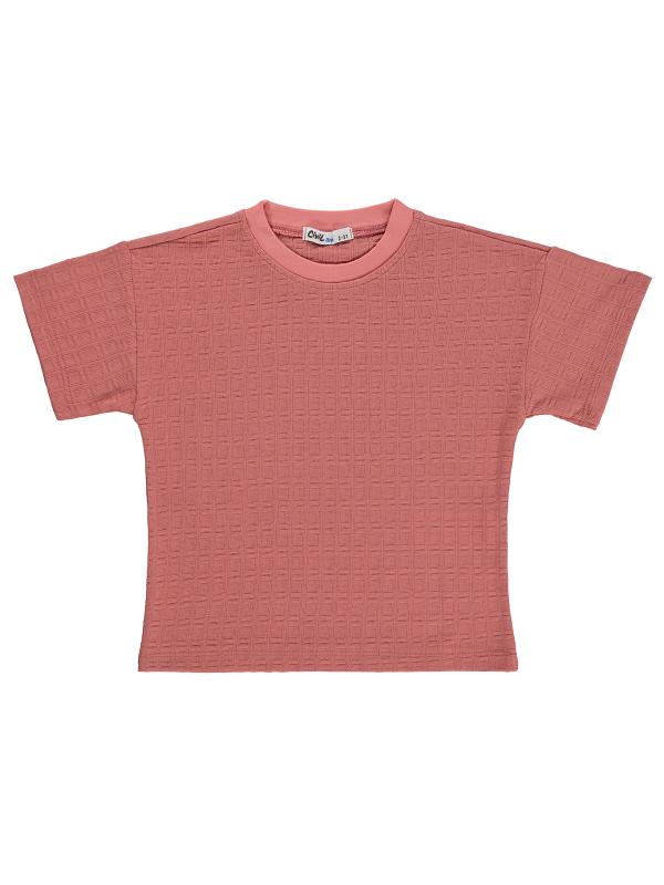 Picture of Boys T-Shirt 2-5 Years Dusty Rose - Package