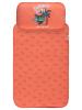 Picture of Baby Changing Mat 0-24 Months Coral - Package