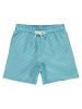 Picture of Boys Swim Shorts 6-9 Years Mint - Package