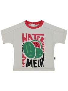 Picture of Baby T-Shirt 0-24 Months Stone Color - Package