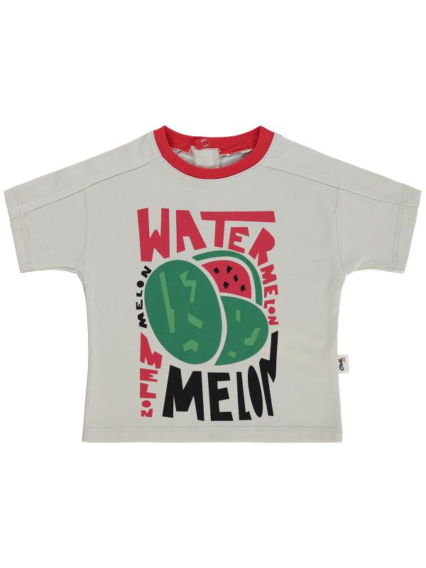 Picture of Baby T-Shirt 0-24 Months Stone Color - Package